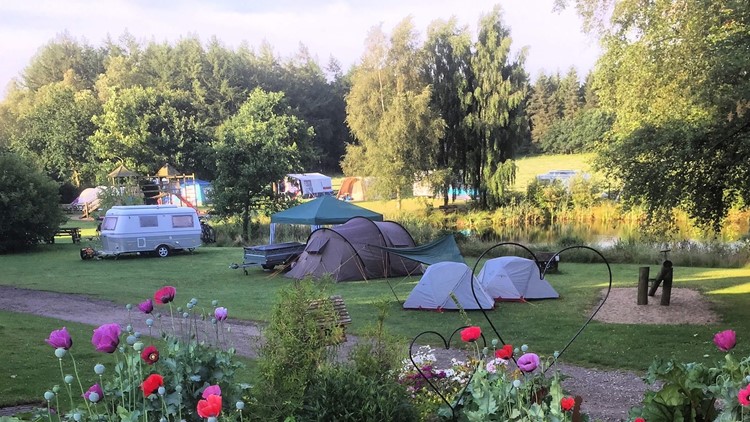 Godmorgen Camping